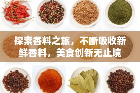 探索香料之旅，不断吸收新鲜香料，美食创新无止境