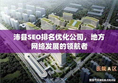 沛县SEO排名优化公司，地方网络发展的领航者