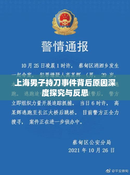 上海男子持刀事件背后原因深度探究与反思
