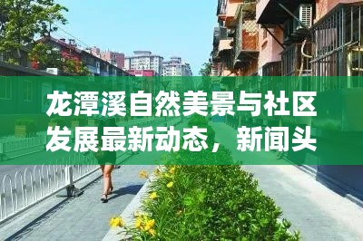 龙潭溪自然美景与社区发展最新动态，新闻头条揭秘