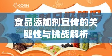 食品添加剂宣传的关键性与挑战解析