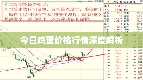今日鸡蛋价格行情深度解析