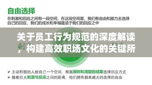 关于员工行为规范的深度解读，构建高效职场文化的关键所在