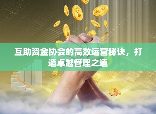 互助资金协会的高效运营秘诀，打造卓越管理之道