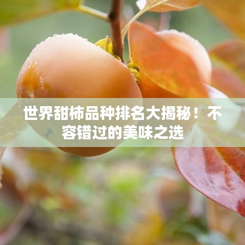 世界甜柿品种排名大揭秘！不容错过的美味之选