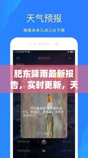 肥东降雨最新报告，实时更新，天气变化一目了然