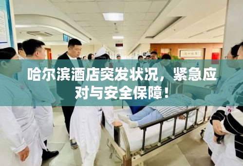 哈尔滨酒店突发状况，紧急应对与安全保障！