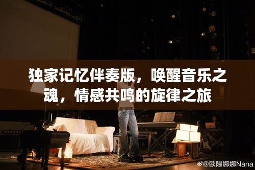 独家记忆伴奏版，唤醒音乐之魂，情感共鸣的旋律之旅