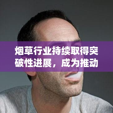 烟草行业持续取得突破性进展，成为推动健康发展的重要力量