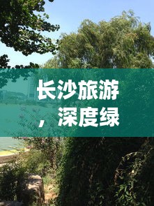 难得可贵 第2页