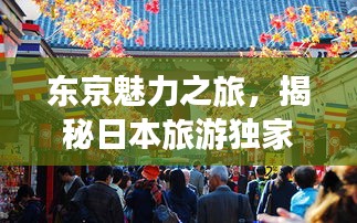 东京魅力之旅，揭秘日本旅游独家攻略线路！