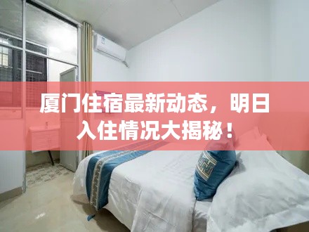 厦门住宿最新动态，明日入住情况大揭秘！
