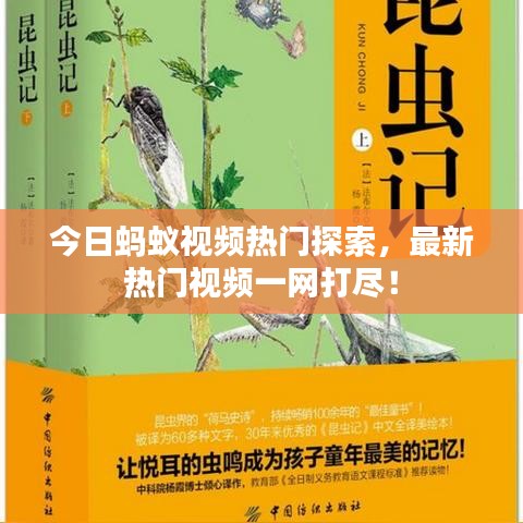 今日蚂蚁视频热门探索，最新热门视频一网打尽！
