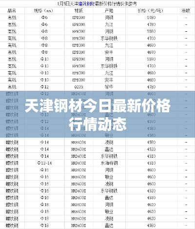 天津钢材今日最新价格行情动态