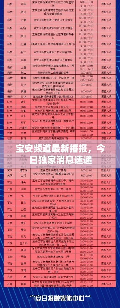 宝安频道最新播报，今日独家消息速递