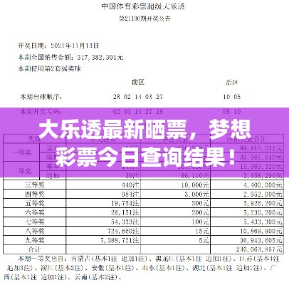 大乐透最新晒票，梦想彩票今日查询结果！