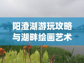 阳澄湖游玩攻略与湖畔绘画艺术之旅