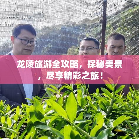 龙陵旅游全攻略，探秘美景，尽享精彩之旅！