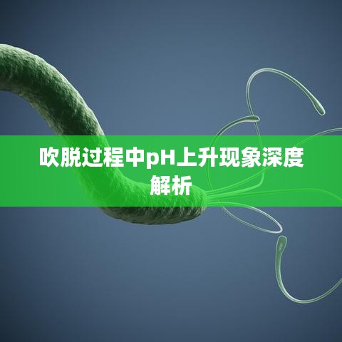 吹脱过程中pH上升现象深度解析