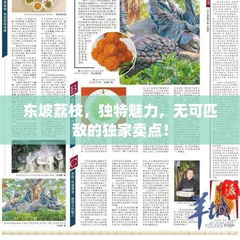 东坡荔枝，独特魅力，无可匹敌的独家卖点！