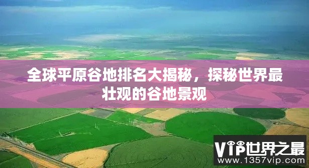 打张鸡儿 第2页