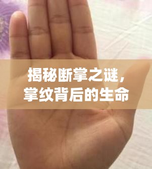 揭秘断掌之谜，掌纹背后的生命故事与命运密码