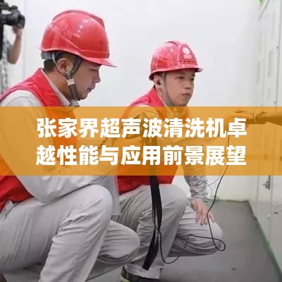 张家界超声波清洗机卓越性能与应用前景展望