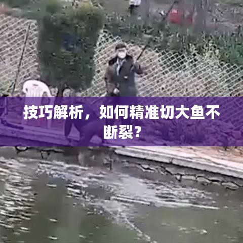 技巧解析，如何精准切大鱼不断裂？