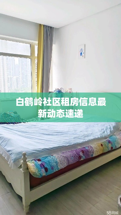 白鹤岭社区租房信息最新动态速递