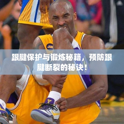 跟腱保护与锻炼秘籍，预防跟腱断裂的秘诀！