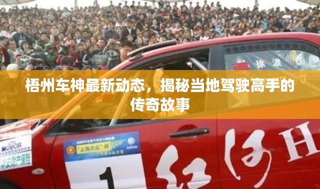 梧州车神最新动态，揭秘当地驾驶高手的传奇故事