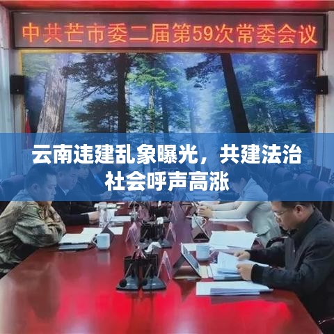 鸟云之阵 第2页