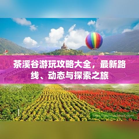 茶溪谷游玩攻略大全，最新路线、动态与探索之旅