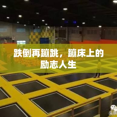 跌倒再蹦跳，蹦床上的励志人生