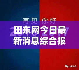 田东网今日最新消息综合报道速递