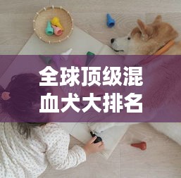 全球顶级混血犬大排名，不容错过的养宠指南！