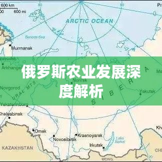 俄罗斯农业发展深度解析