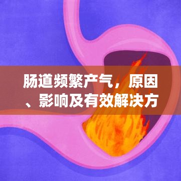 肠道频繁产气，原因、影响及有效解决方案