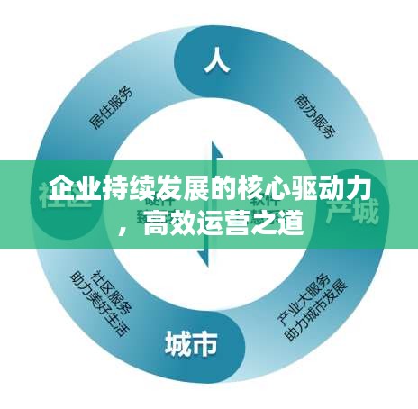 企业持续发展的核心驱动力，高效运营之道