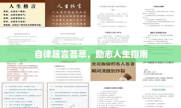 自律箴言荟萃，励志人生指南