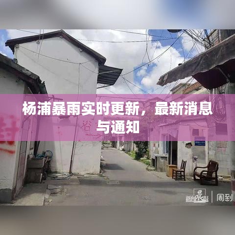 杨浦暴雨实时更新，最新消息与通知