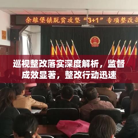 巡视整改落实深度解析，监督成效显著，整改行动迅速