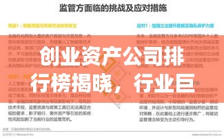 创业资产公司排行榜揭晓，行业巨头与未来趋势展望