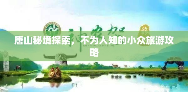 阿胶究竟有哪些功效 第76页