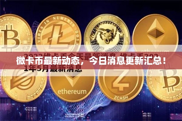 微卡币最新动态，今日消息更新汇总！