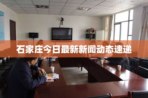 石家庄今日最新新闻动态速递