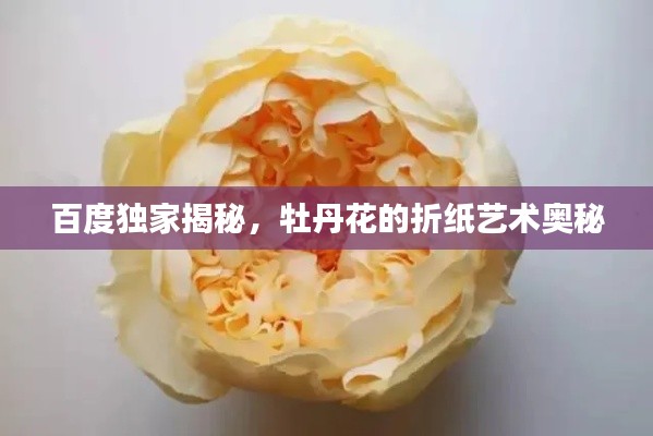 凤鸟不至 第2页