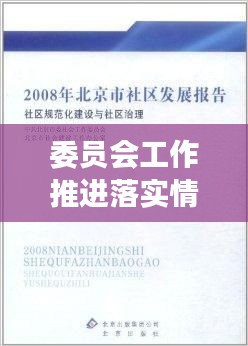 委员会工作推进落实情况深度报告，进展、成效与未来展望