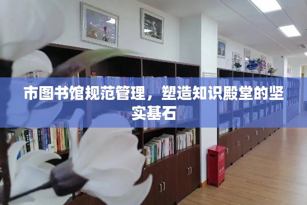 市图书馆规范管理，塑造知识殿堂的坚实基石