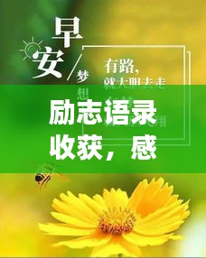 励志语录收获，感悟成长，激发无限潜能的力量！